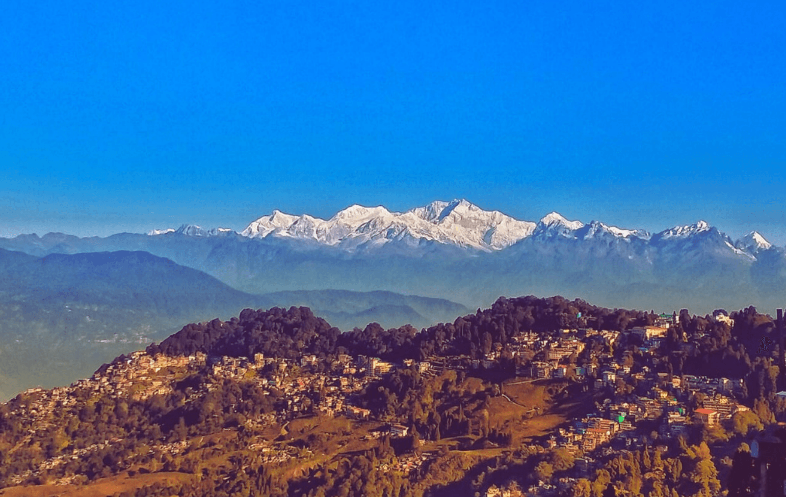 Darjeeling 1